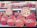 Trabzon Tribute - Hülya Polat/ Laz Kizi