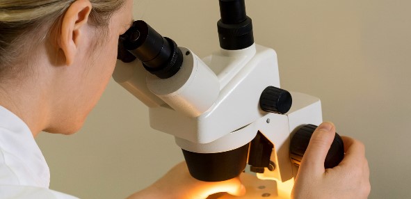 Türkei: Akademikerabwanderung – Deutschland holt USA ein