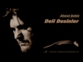 Deli Desinler (Ahmet Şafak)