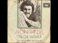 Aydın TANSEL - Çisil Çisil Yağmur Yağıyor (1976)