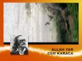 Cem Karaca - Allah yar