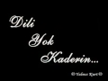 Erkan Kızılaslan - Dili Yok Kaderin