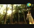 Aşkın Nur Yengi-Yalancı Bahar (www.kanalforum.com) By.göLg£