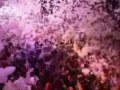 ELECTRO HOUSE 2011 IBIZA CLUB VERSION