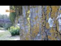 Musa Eroğlu & Nazlı Öksüz - Pınar Başından Bulanır (Özel Versiyon / HD) Mu©o