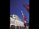 CANIM ELAZIĞ (!)(mutlaka izleyin)