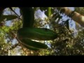 15 Worlds Deadliest Animals Africa National Geographic