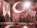 ALİ KINIK - TÜRKÇE