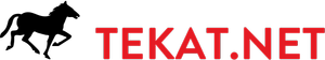 At Yarışı Tahminleri - Tekat.Net