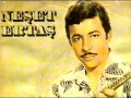 Neşet Ertaş - Kendim ettim kendim buldum