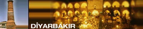 Vorwahl Diyarbakir