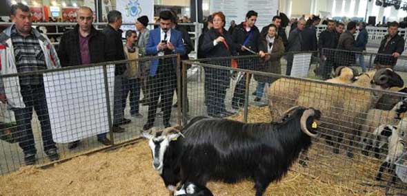 Türkei Messe Agroexpo Izmir