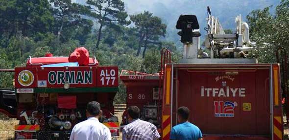 Türkei Brand Rotkiefernwald_260619