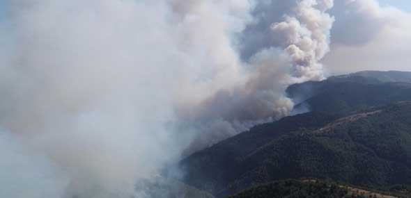 Türkei kämpft gegen die Waldbrände