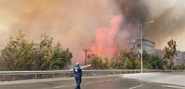 Türkei Waldbrand in Hatay